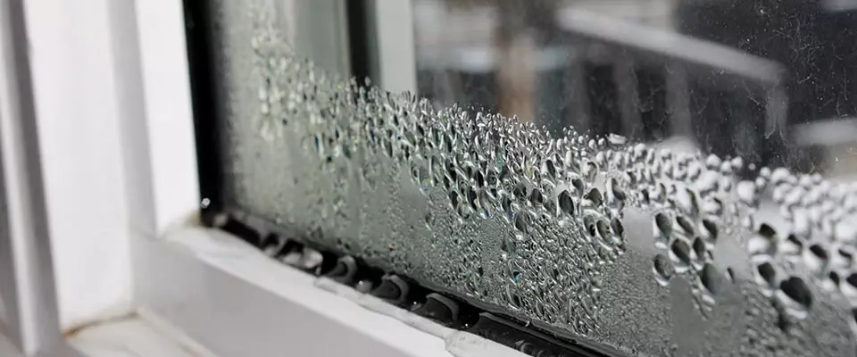 Do Impact Windows And Doors Prevent Mold And Mildew Buildup?